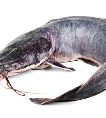 fresh_catfish_mile12_market_online_grocery_lagos